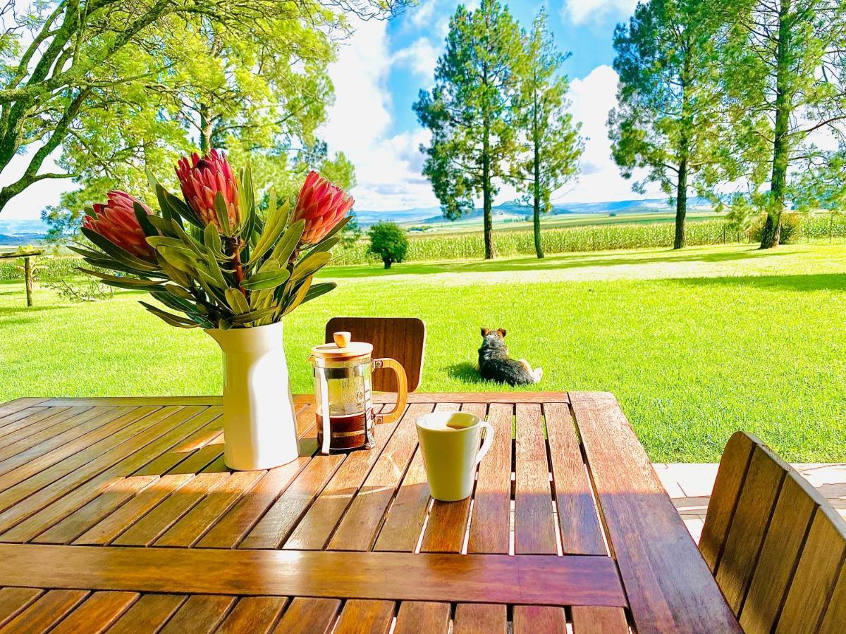 Bellevue Berg Cottage Bergville Εξωτερικό φωτογραφία