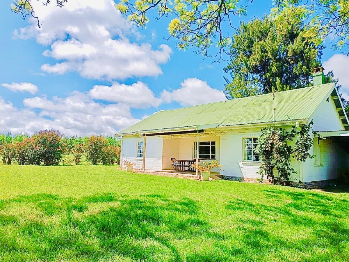 Bellevue Berg Cottage Bergville Εξωτερικό φωτογραφία